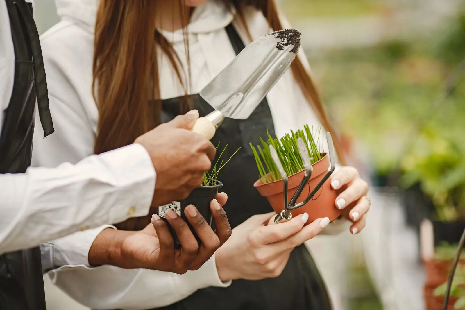 Jardineiros segurando vasos de plantas