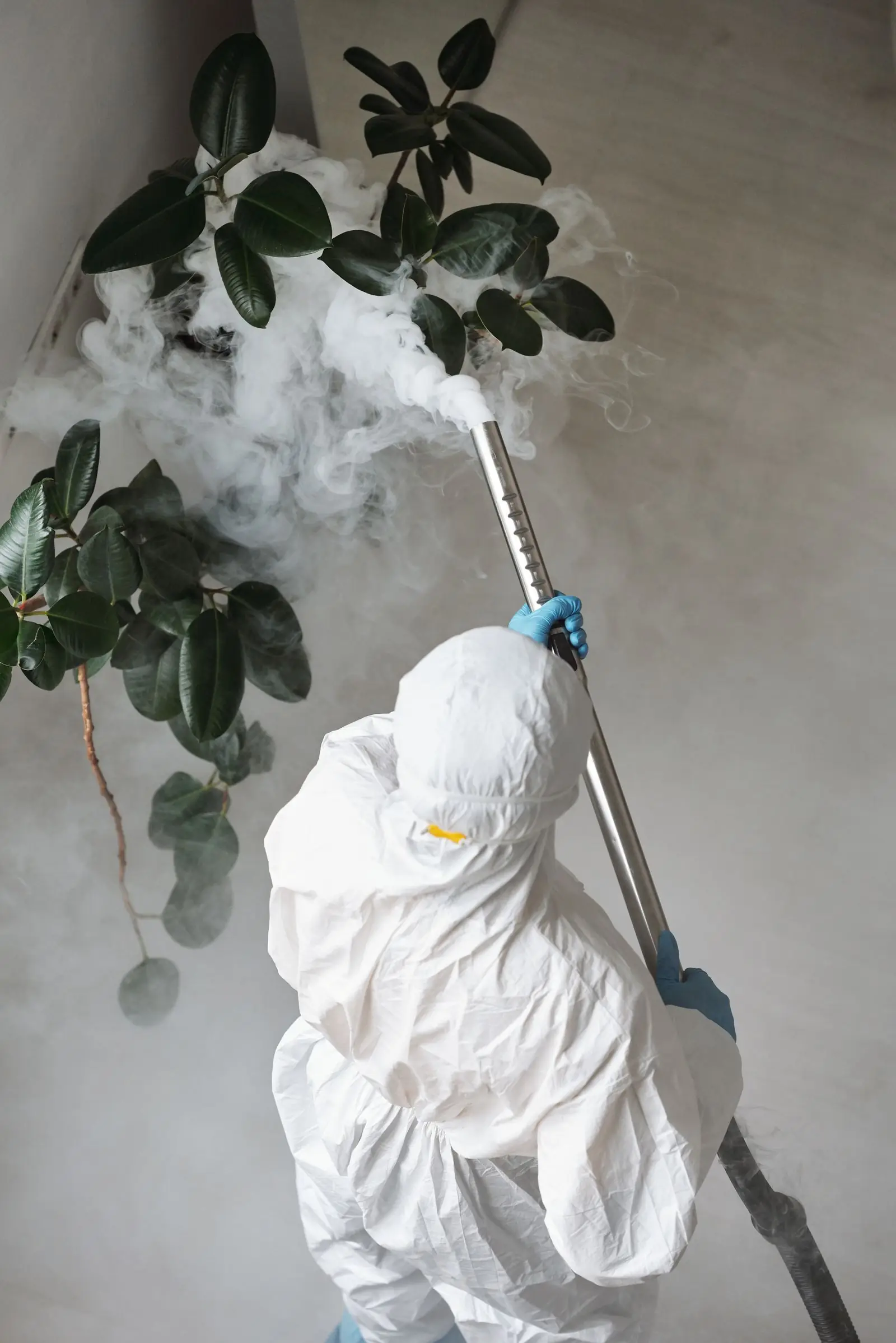 Aplicação de produto em planta interna